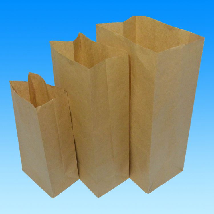 Kraft paper bag