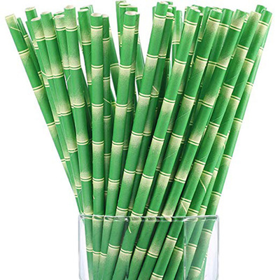 Eco-Friendly Paper Straw