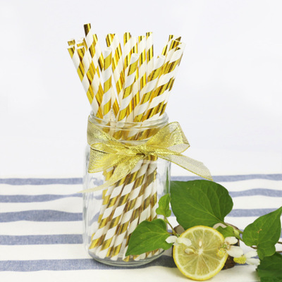 Eco-Friendly Paper Straw